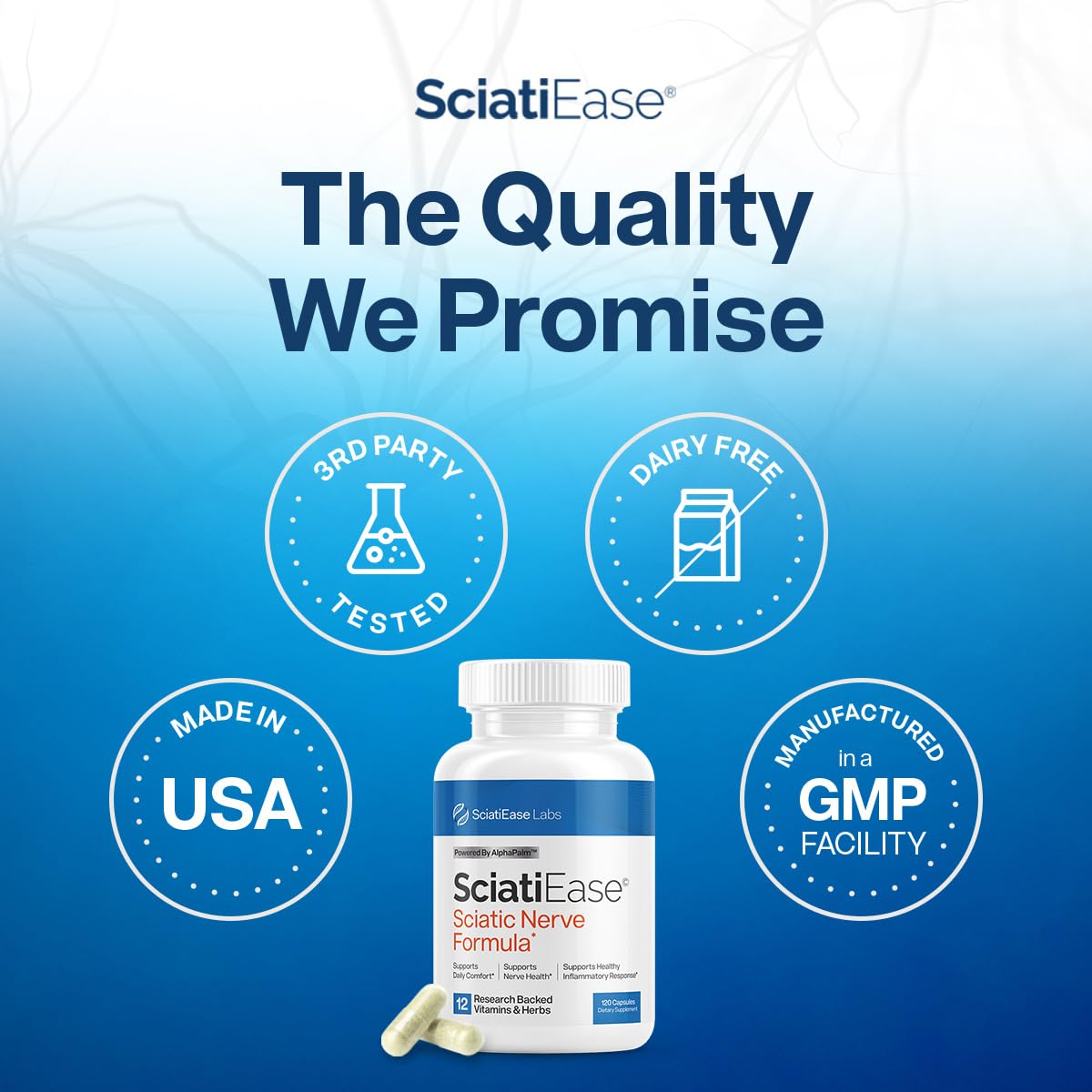 Sciatic Nerve Health Support Supplement - 120 Capsules